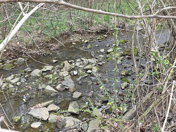 4th image of LOT 6A Goehler Rd SE