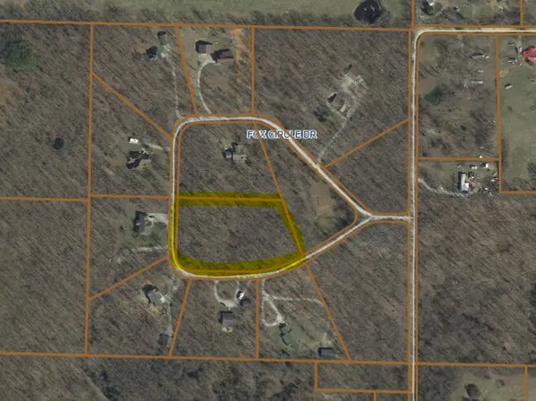 0000 Fox Cir Drive, Mountain View, MO 65548