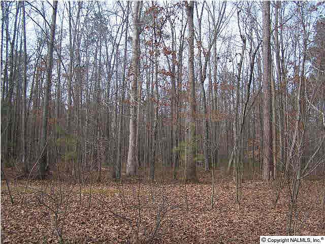 2nd image of Hays Mill Rd