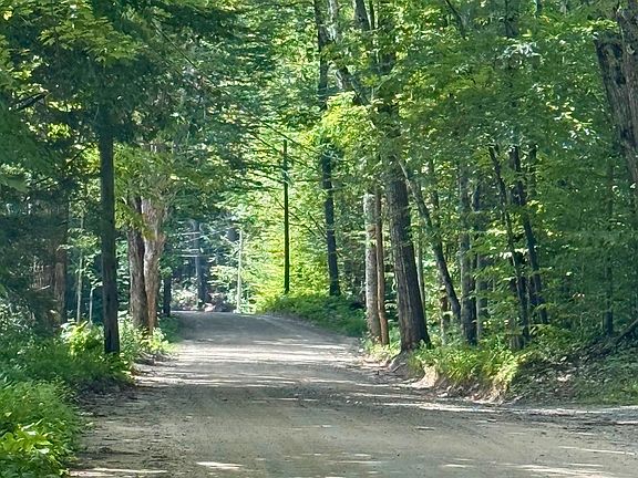 2nd image of Lot 9-3 Roxbury Road