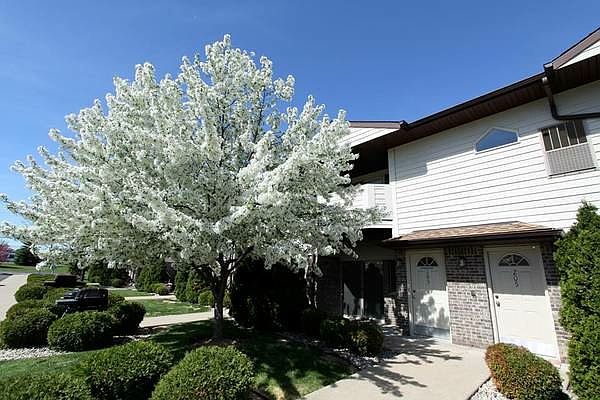 Beautifully Landscaped