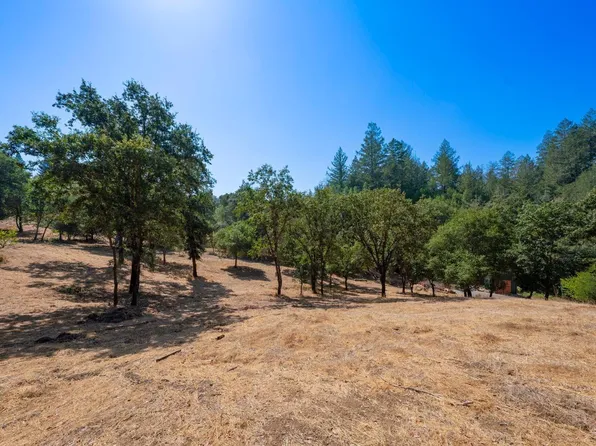 7250 Hwy 116 Highway, Forestville, CA 95436