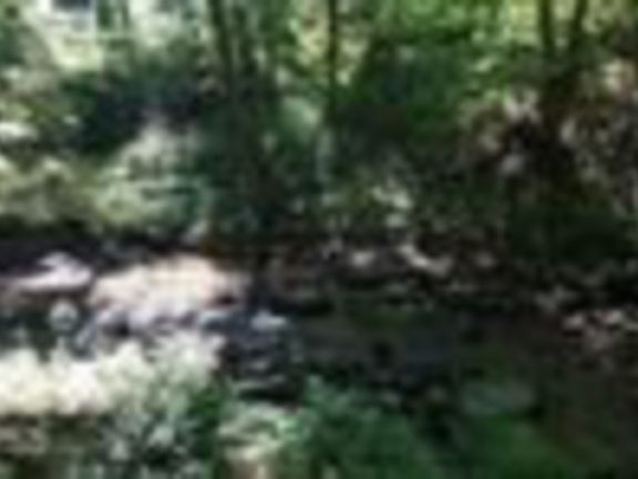 5th image of 2746 State Route 104