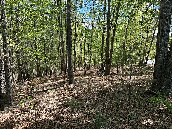 2nd image of 534 Ginseng Dr
