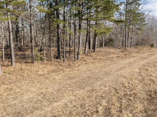 257 Saddlebrook Dr, Hohenwald, TN 38462