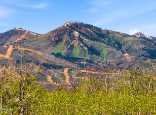 1802 E Daybreak Ct #DS-16, Kamas, UT 84036