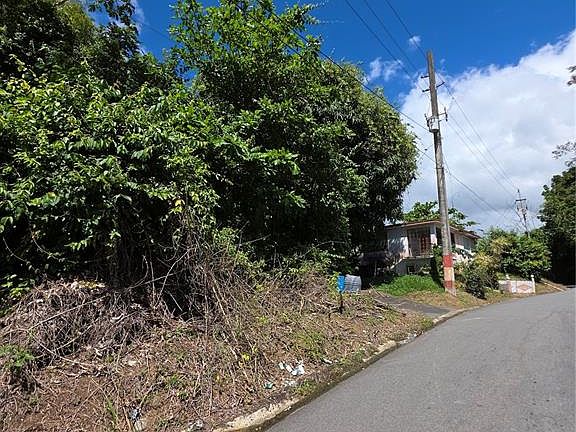 2nd image of Bo Quebrada Cruz