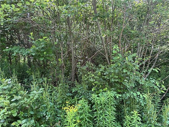 4th image of 8707 Old State Rd Lot 6