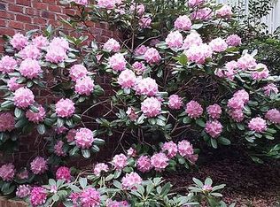 525 Hilton Rd, Stokesdale, NC 27357