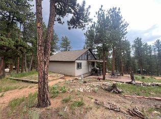 187 Johnson Rd, Bailey, CO 80421