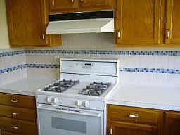 4th image of 11231 Greenwillow Dr