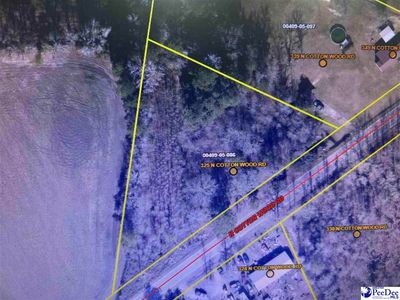 325 N Cotton Wood Rd, Johnsonville, SC, 29555