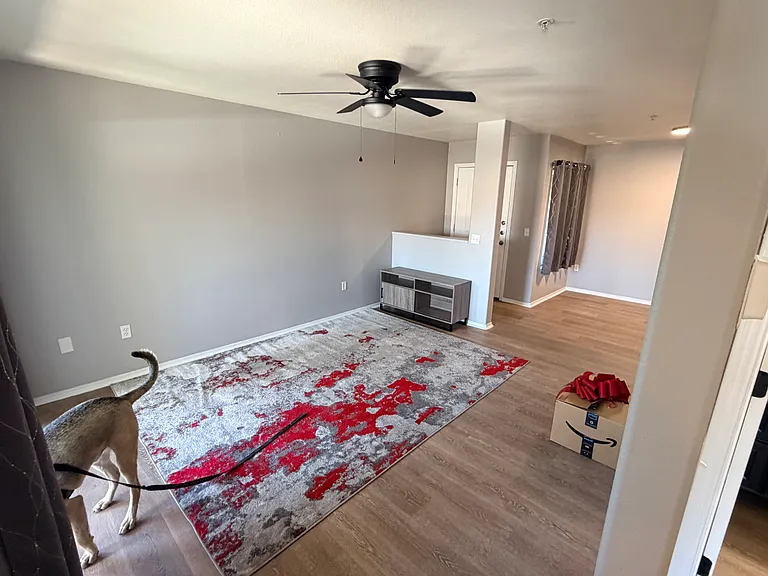 5751 N Kolb Rd #21201 — Photo 13