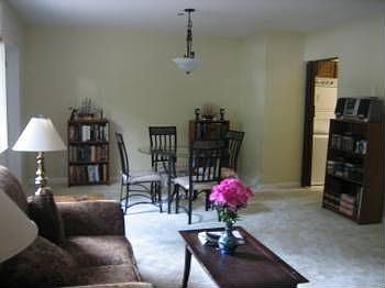 3rd image of 3709 S George Mason Dr APT 101