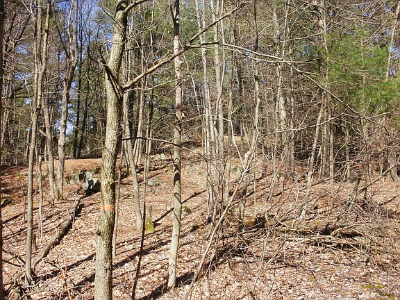 5th image of 00 Split Rock Road