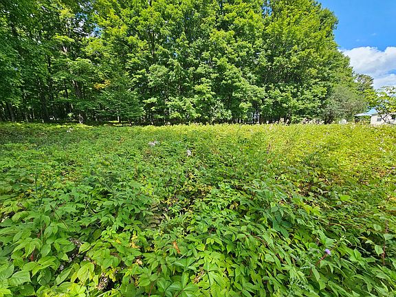 5th image of 6749 Pierce Dr