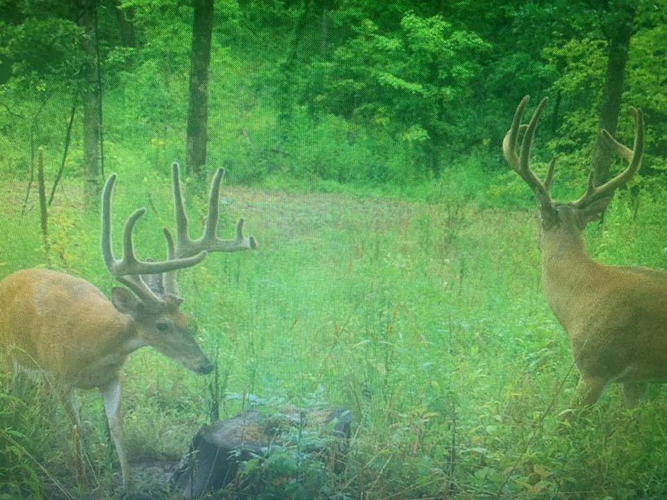 Xx Pure Air Trl, Novinger, MO 63559 Zillow