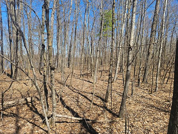 5th image of TRACT Swanson Rd #B