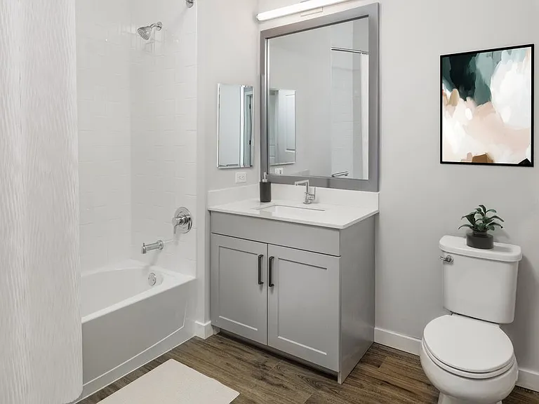 Bath with white quartz countertop, light grey cabinetry, and hard surface flooring