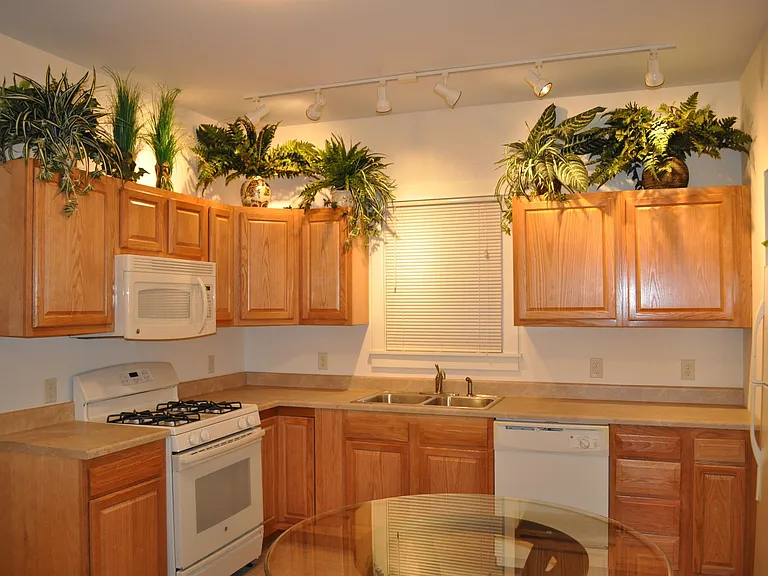 203 Williams St — Photo 4
