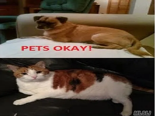 Sold by Benjamin Realty Since 1980 | media 49