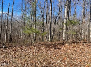 20 Pinney Pl, Monterey, TN 38574