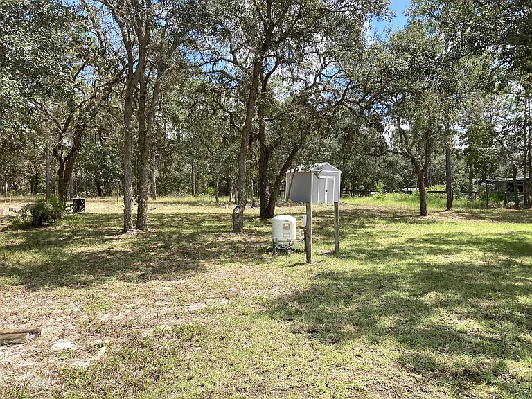 Yard_01052023