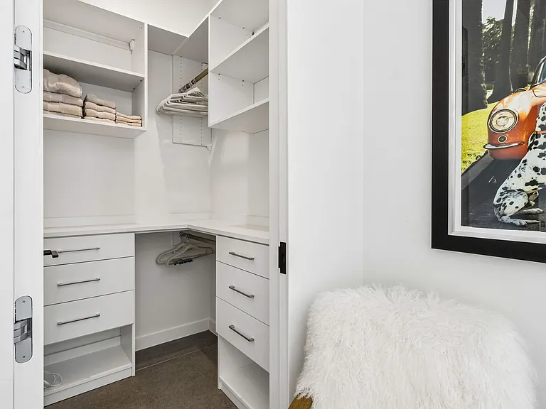 Walk in closet in guest bedroom