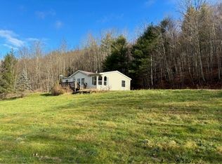 101 Cass Hill Rd, Candor, NY 13743