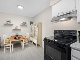 Amazing Renovated Apartments