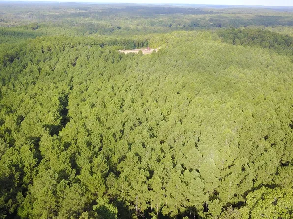 Sunders Rd, Reform, AL 35481