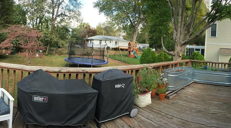 Backyard Photo 1