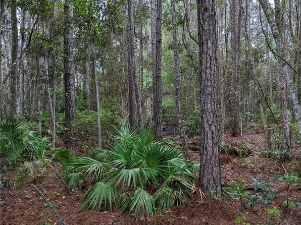 NE 220th St #1, Fort Mc Coy, FL 32134