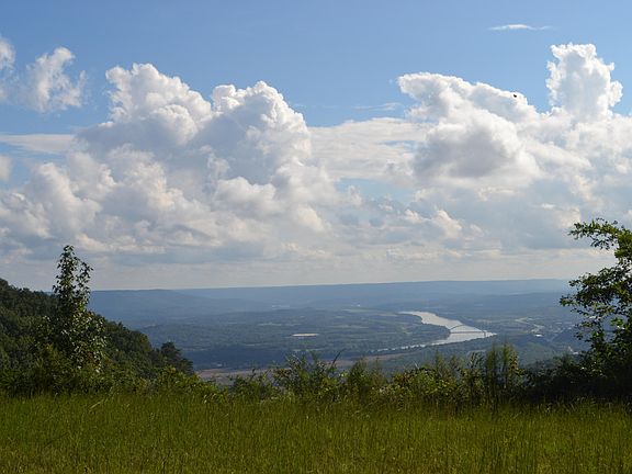 2nd image of 0 River Bluffs Dr #67