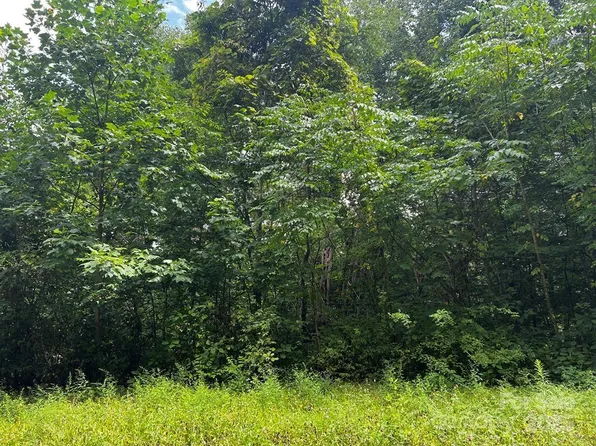 LOT 24 Llewellin Ln, Whittier, NC 28789