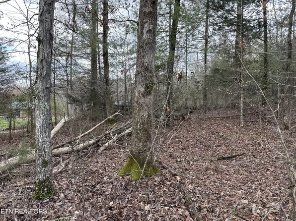 0 Gamble Gap Rd, Tellico Plains, TN 37385