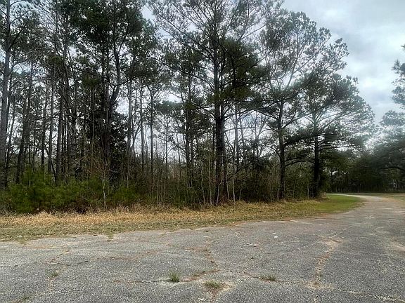 5th image of Sand Pine Cv Lot 3