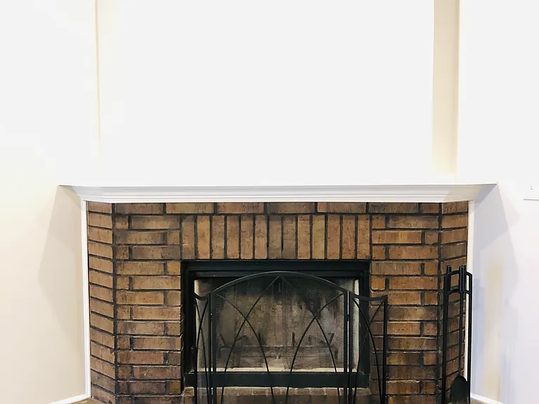 Wood burning fire place