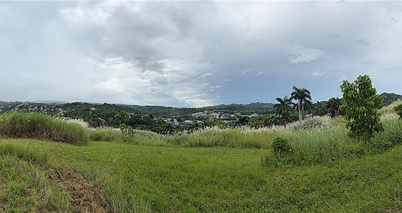 5th image of Route 159