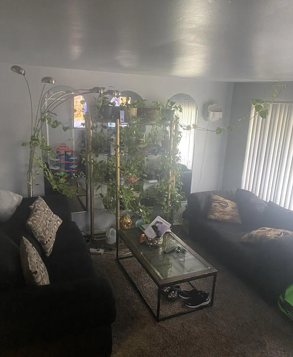 Willow Tree Ave, Sauk Village — Photo 1