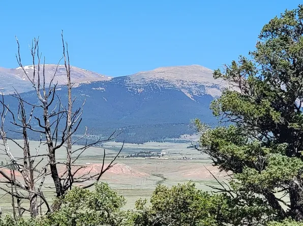 2471 Middle Fork Vista, Fairplay, CO 80440