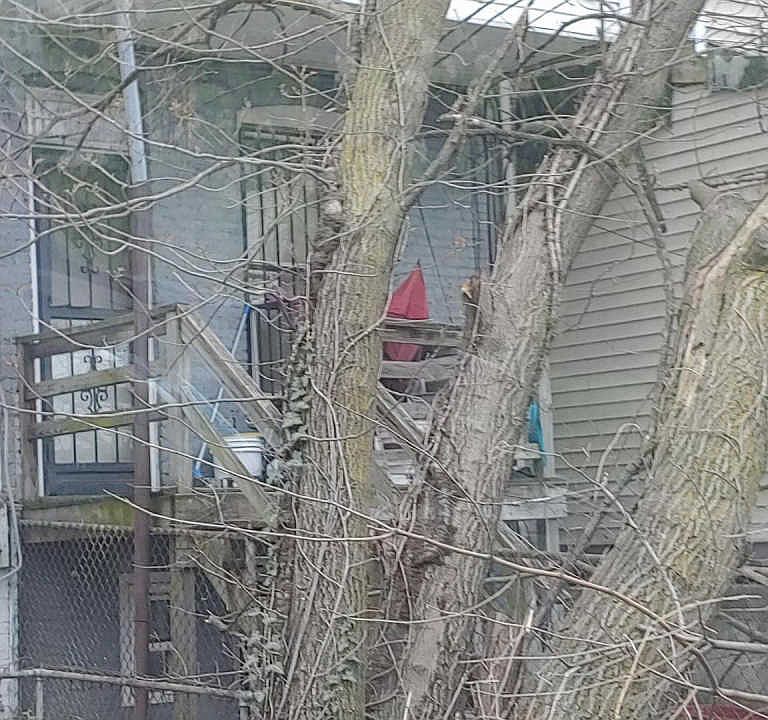 2nd image of 1324 N Luzerne Ave