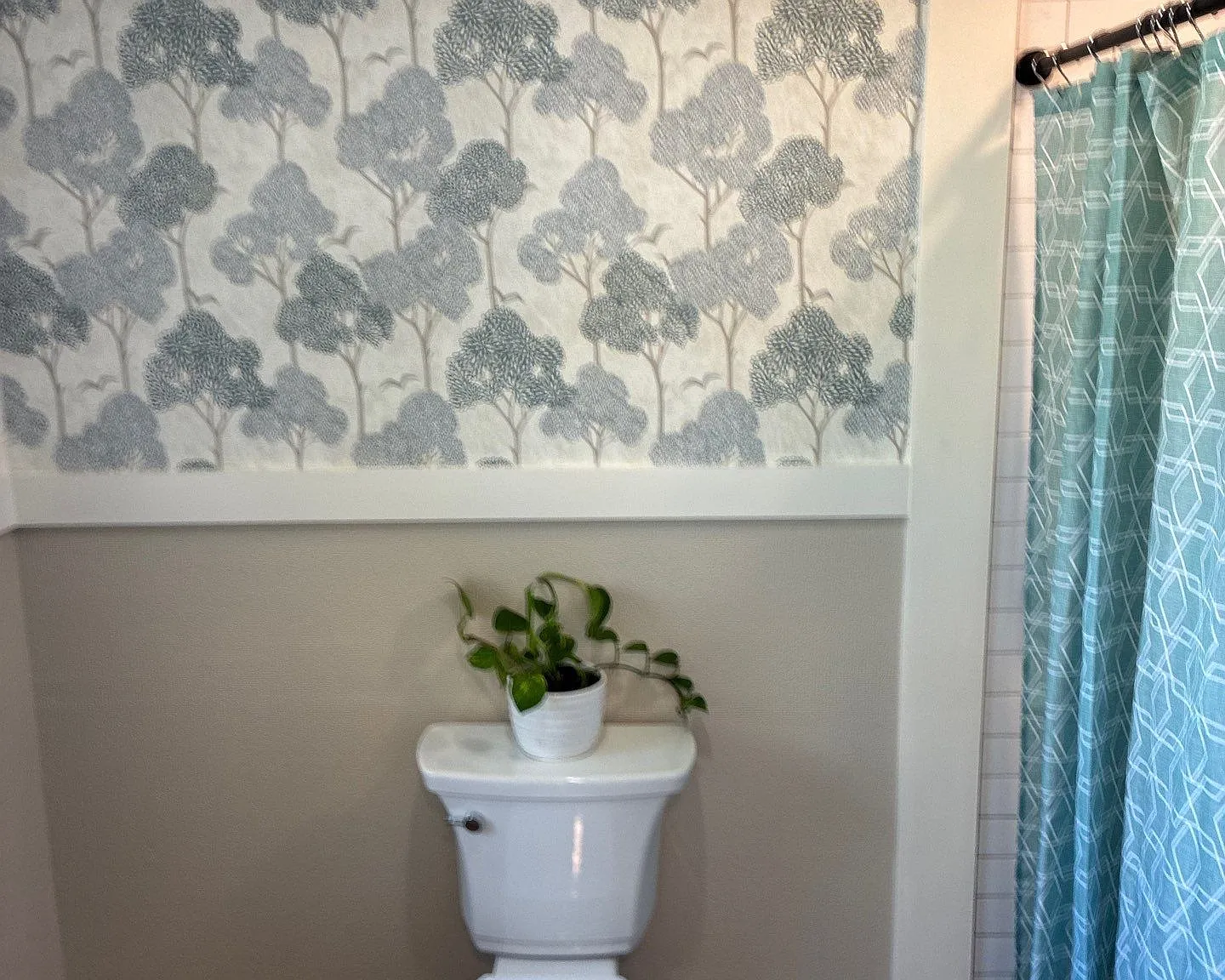 1 bed, 650 sqft, $1,300 — Photo 4