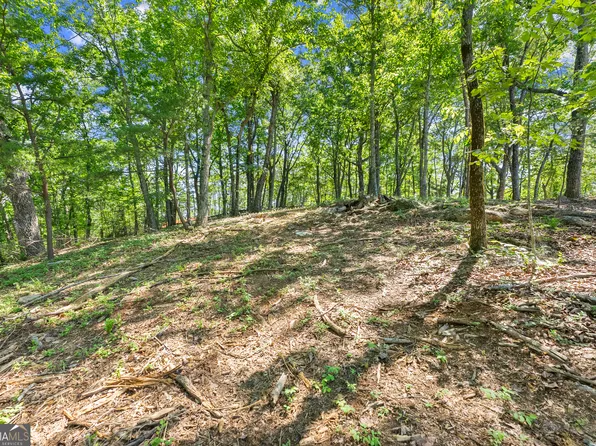 95 Chimney Lake Dr, Cleveland, GA 30528