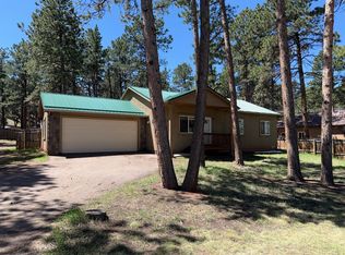 611 Lake Ave, Woodland Park, CO 80863