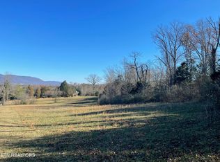Knoxville Hollow Rd, Lafollette, TN 37766