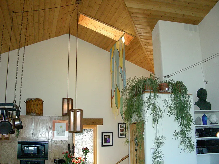 Kitchen Ceiling view with plant covered Laundry closet. No worries, it is watered with automatic drip irrigation.
