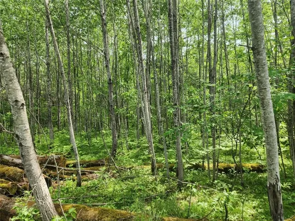 12245 Lot B Cable Sunset Road, Cable, WI 54821