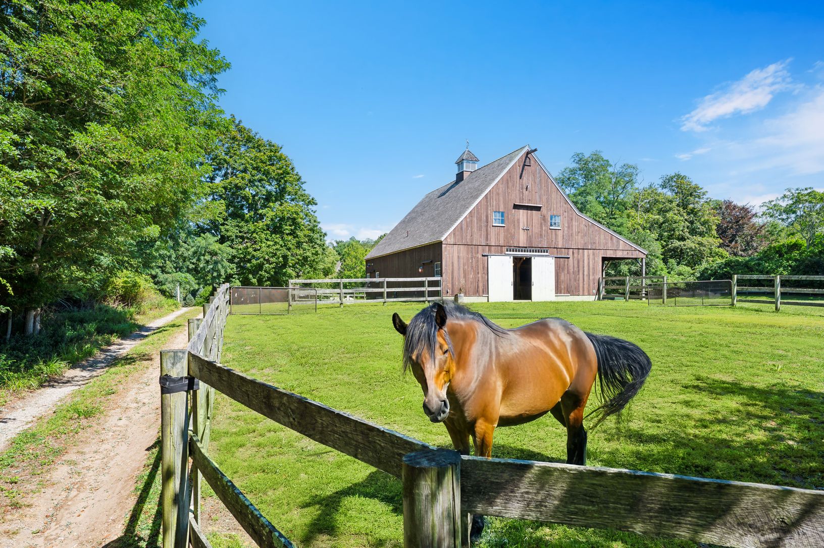  Horses depicted are artistic renderings 