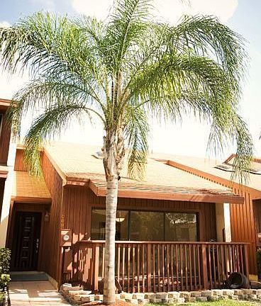 TROPICAL EXTERIOR